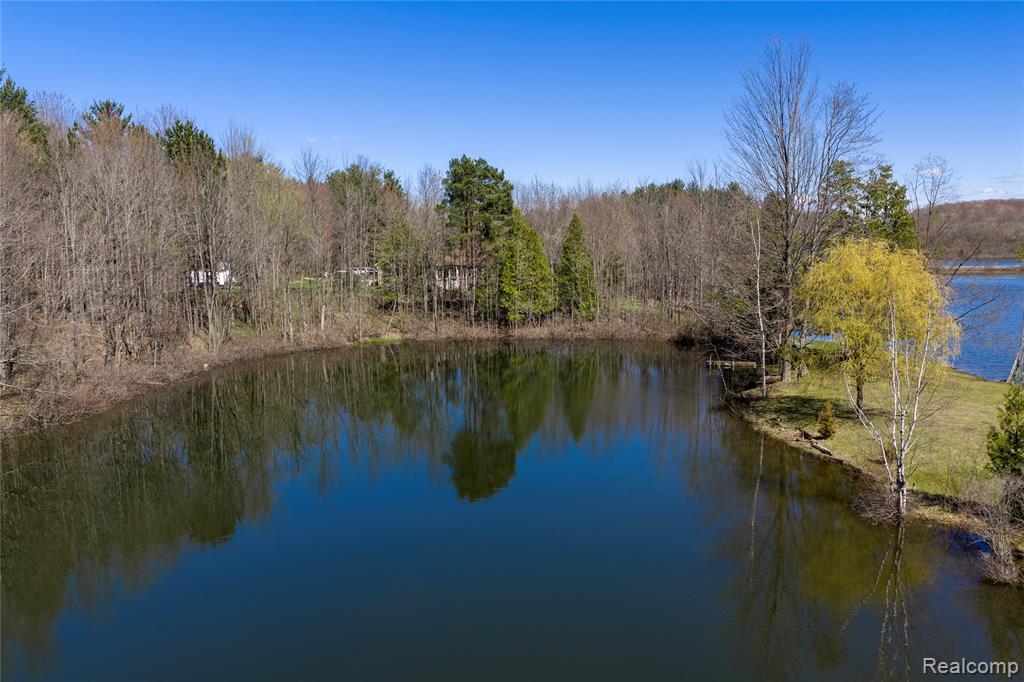 3788 S Murray Road, Mayville Vlg, MI 48744 — Photo 33
