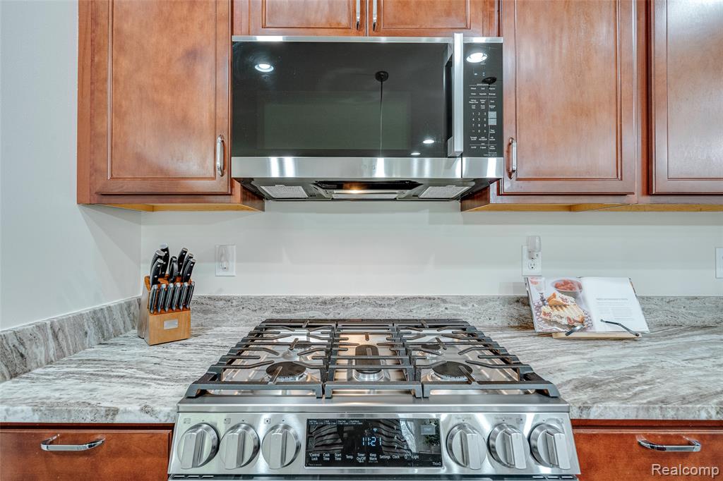 30065 Braeburn Street, New Hudson, MI 48165 — Photo 19
