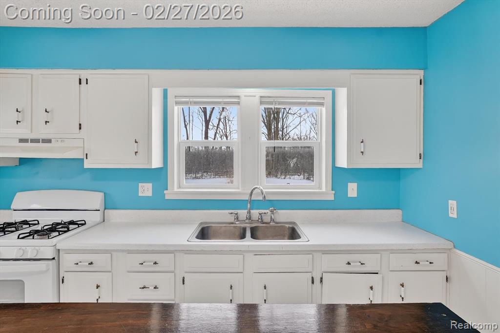 5227 Dania Street, Flint, MI 48532 — Photo 12