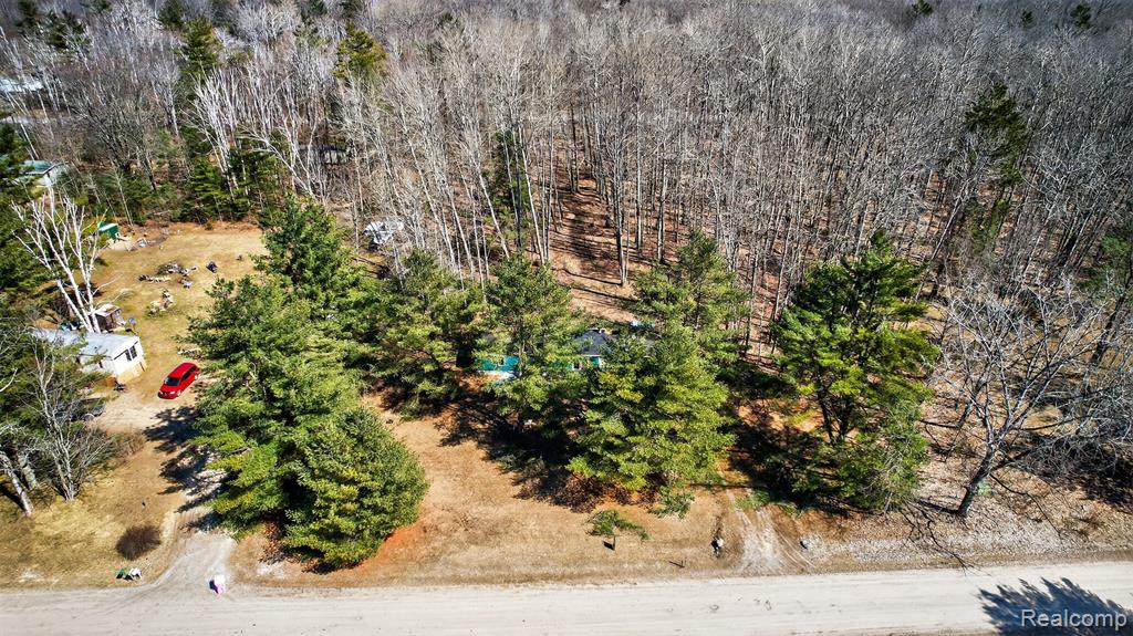 2633 S Stevens Road, Greenbush, MI 48738 — Photo 10