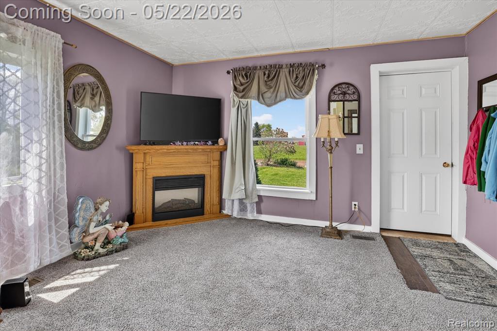 7950 Mayville Road, Marlette, MI 48453 — Photo 6