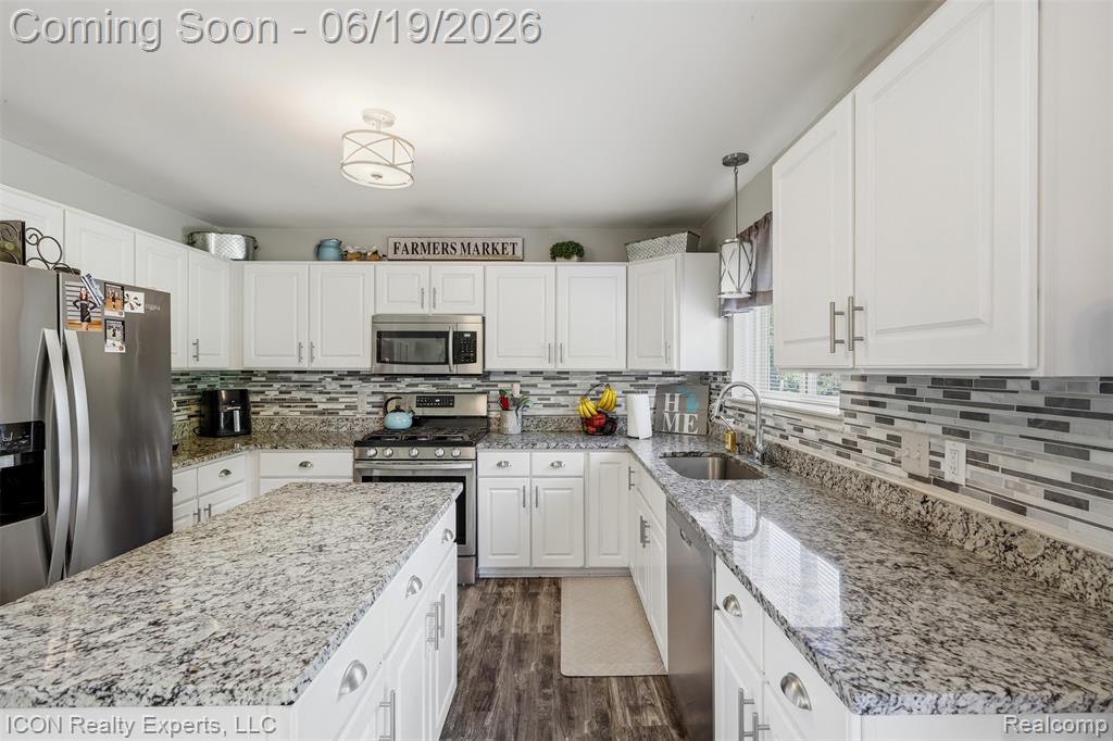 2100 Ore Creek Lane, Brighton, MI 48114 — Photo 12
