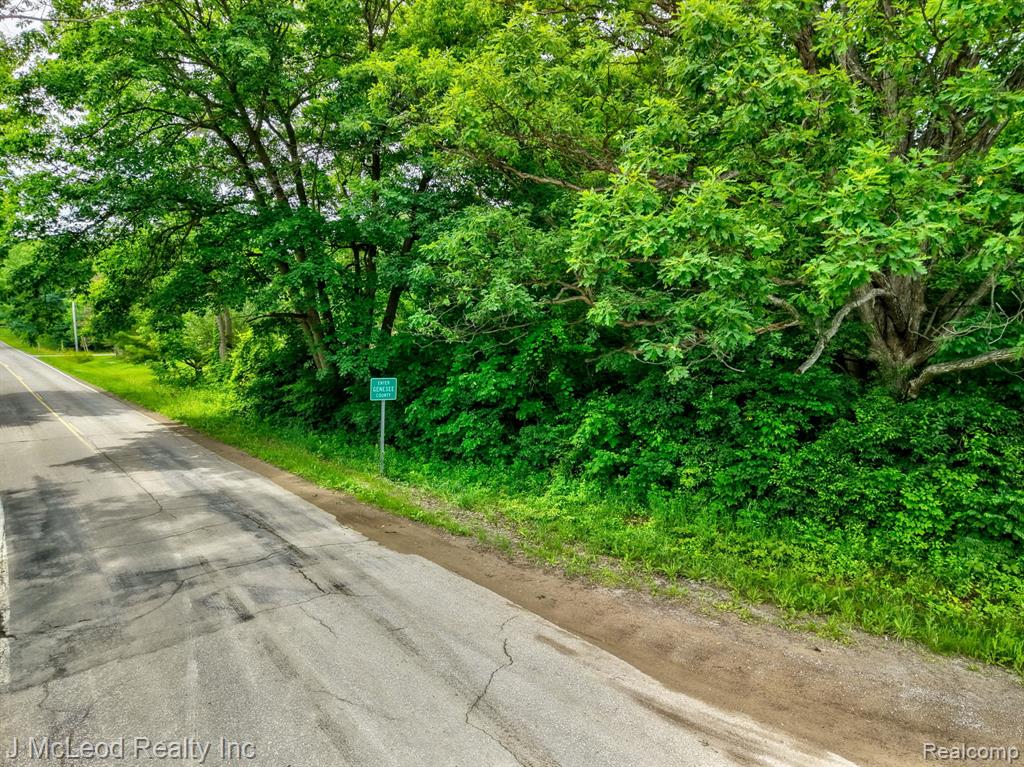 VL N Lewis Road, Clio, MI 48420 — Photo 12