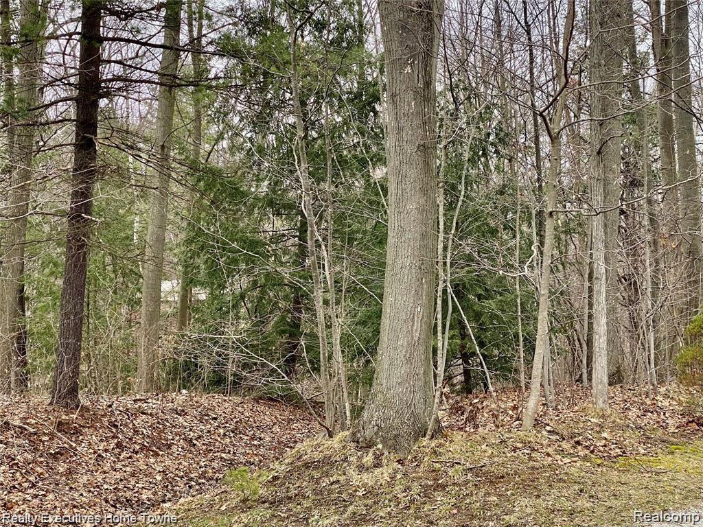 V/L Krystal Court, Clyde, MI 48049 — front exterior