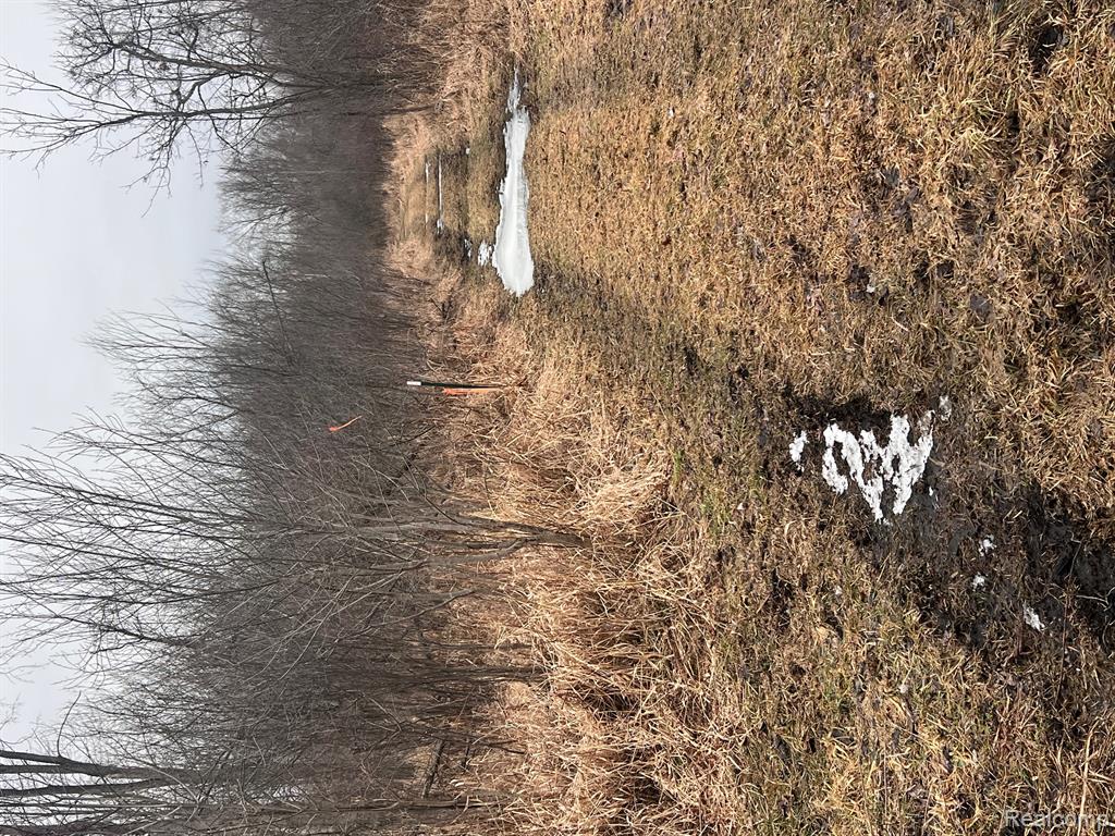 VL Washington Street, Perry, MI 48872 — Photo 21
