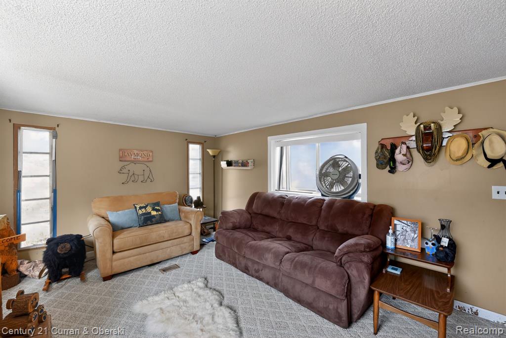 10 S Imperial Drive, MI 48763 — Photo 6