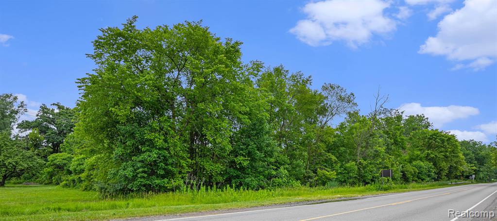 11508 Grand Blanc Road, Gaines Vlg, MI 48436 — Photo 7