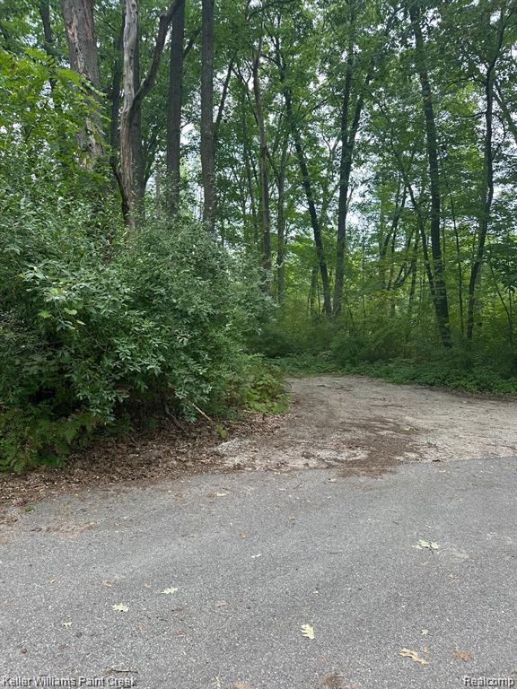 933 HAMMOND Road, Harrison, MI 48625 — Photo 2