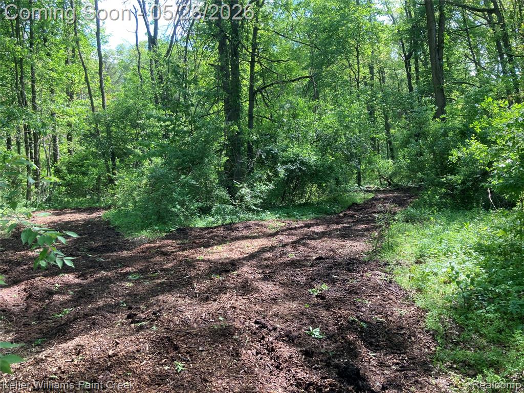 42891 Bemis Road, Sumpter, MI 48111 — Photo 36