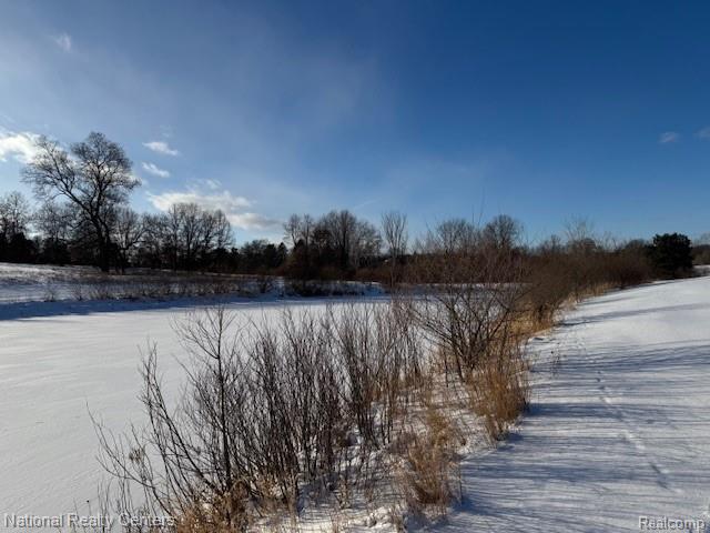 11253 Phal Road, Grass Lake, MI 49240 — Photo 4
