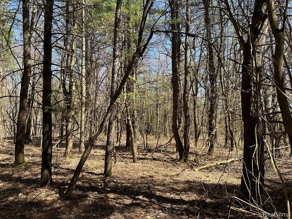 4.23 Acres VL - KNIGHTS BRIDGE Road, Leonard, MI 48367 — Photo 24