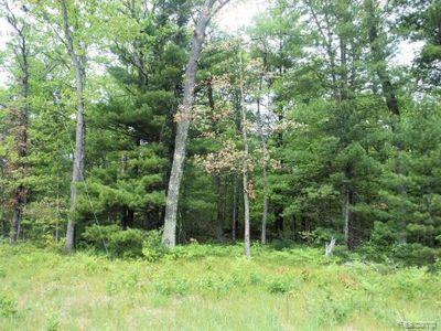 000 HALL, Idlewild, MI 49642