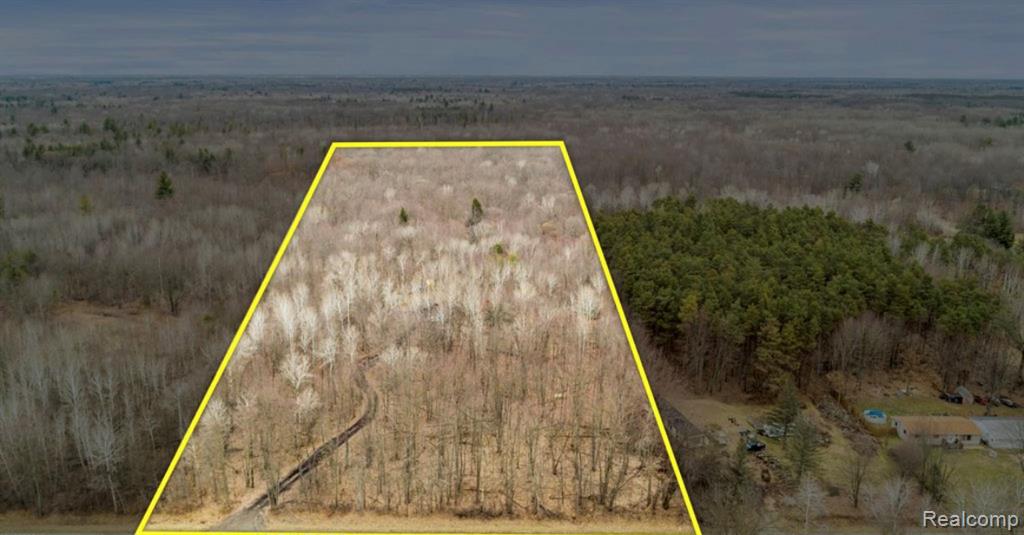 9473 E Broomfield Road, Mount Pleasant, MI 48858 — Photo 4