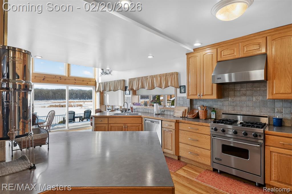 27429 W Huron River Drive, Flat Rock, MI 48134 — Photo 10
