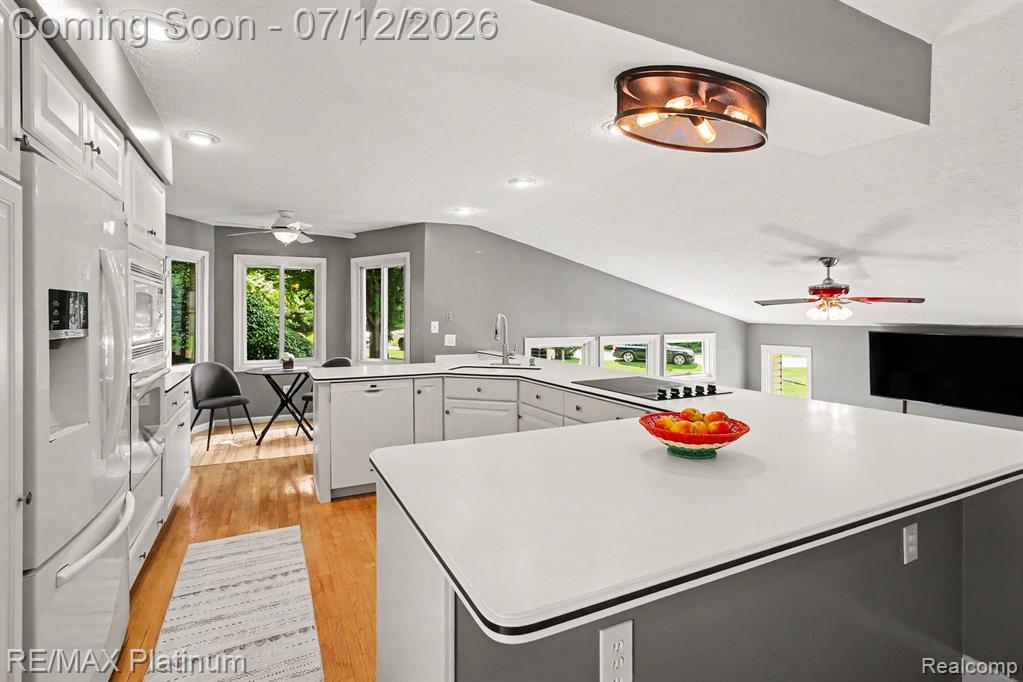 6317 Kevin Drive, Brighton, MI 48116 — Photo 5