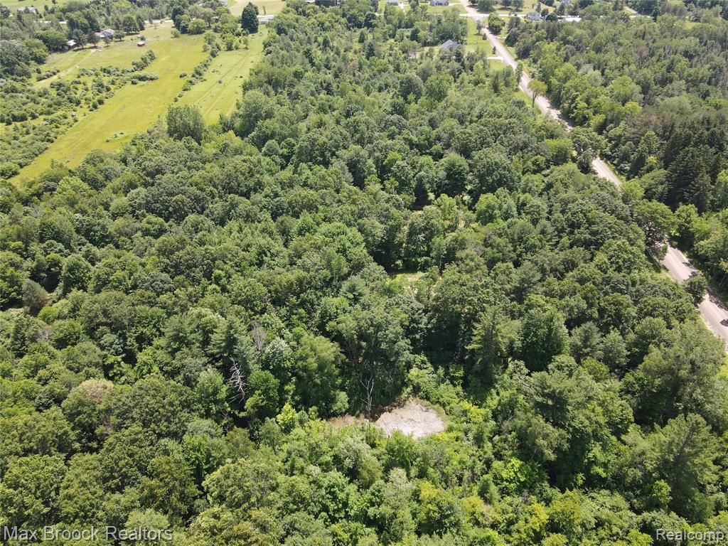 7132 N Oak Road, Davison, MI 48423 — Photo 13