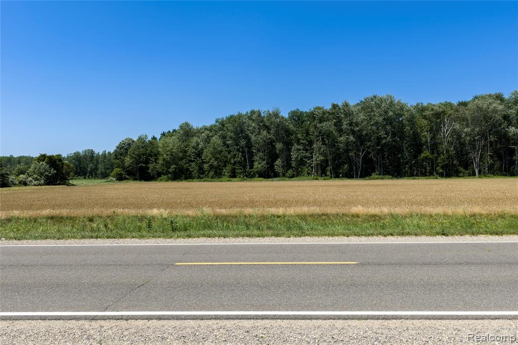 Parcel B Dodge Rd, Cass City, MI 48726 — Photo 6