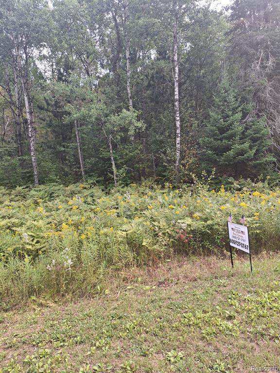 Lot 98 Breezewood Drive, Mancelona, MI 49659 — Photo 8