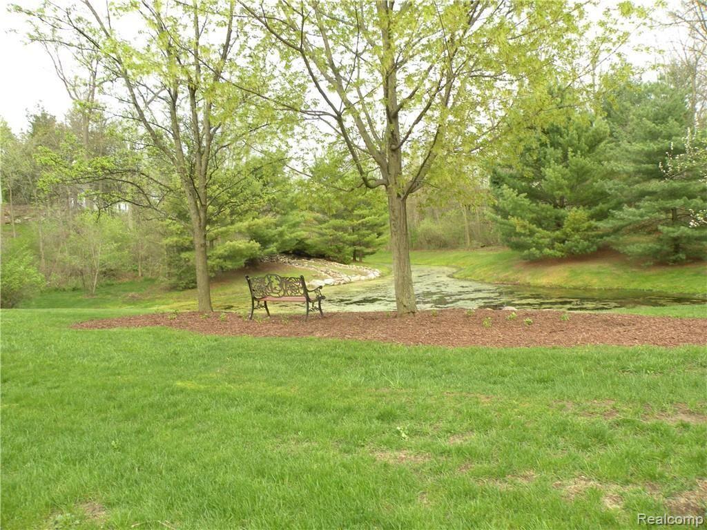 Lot #33 Alta Vista Alta Vista Drive, Pinckney, MI 48169 — Photo 9