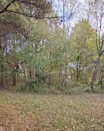 37 Risch Road, Webberville, MI 48892 — Photo 10