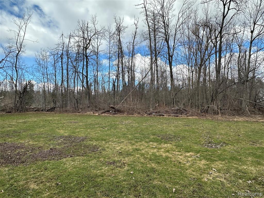 7726 Lake Street, Alanson, MI 49706 — Photo 64