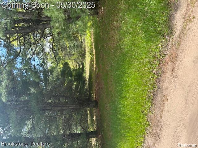 4148 Blue Vista Drive, Evart, MI 49631 — Photo 42