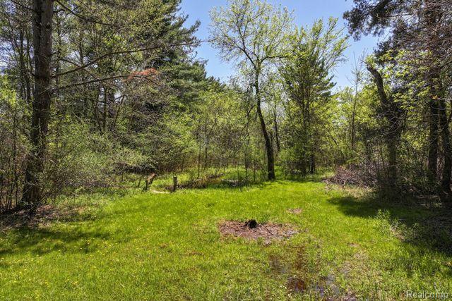 4111 Pratt Road, Metamora, MI 48455 — Photo 58