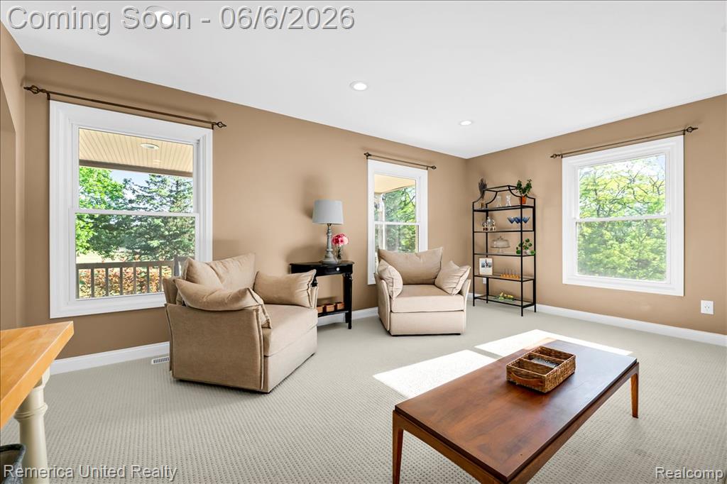 6503 MOUNTVIEW, Brighton, MI 48116 — Photo 6