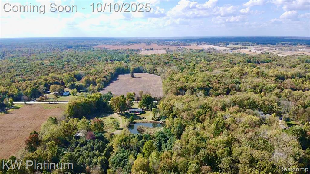 4663 Hessen Road, Casco, MI 48064 — Photo 69