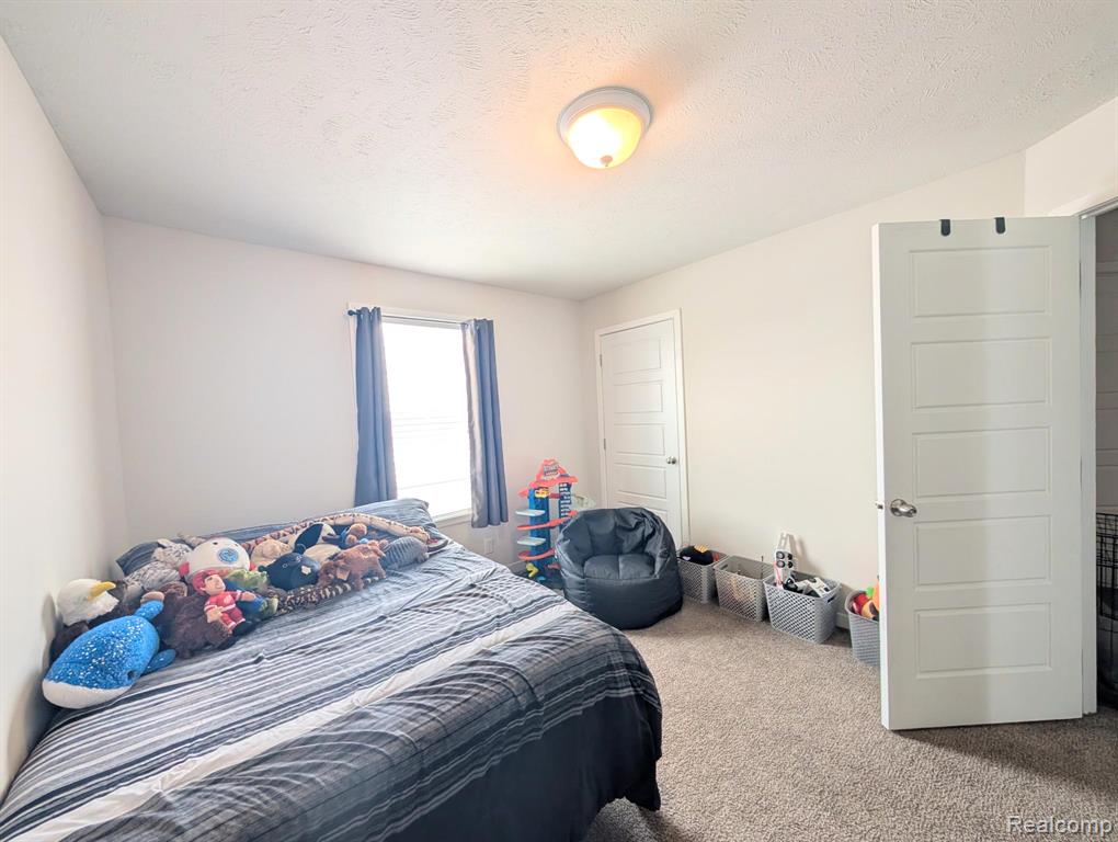 11219 Wildbrook Court, South Lyon, MI 48178 — Photo 13
