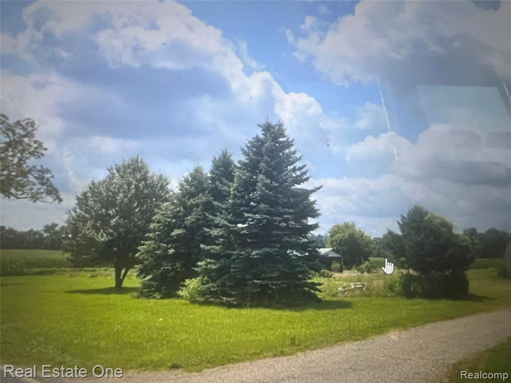 5551 N Gibbs Road, Albion, MI 49224 — Photo 8