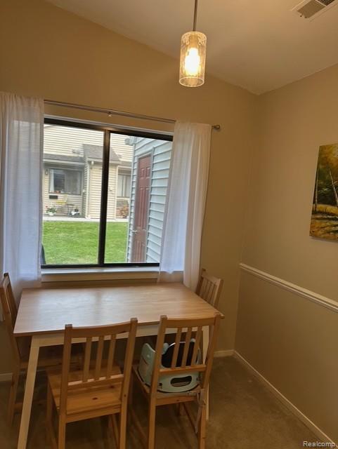 390 S Spring Brooke Drive, 390, Brighton, MI 48116 — Photo 9