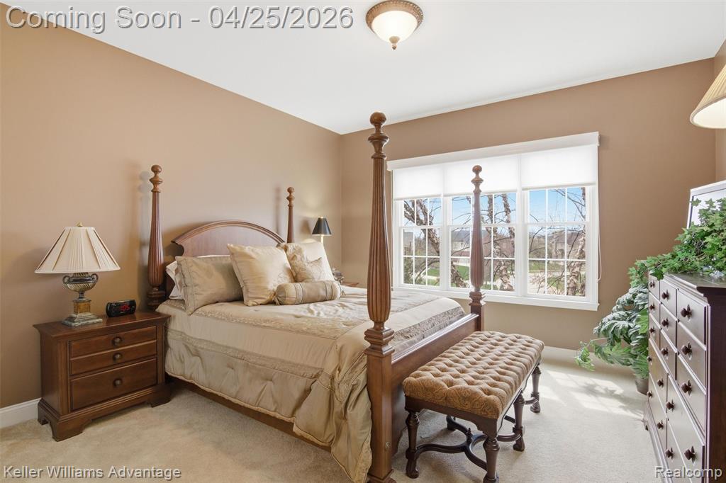 49989 Teton Ridge Road, Northville, MI 48168 — Photo 43