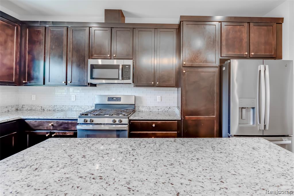 41668 ORIANNA Lane, Novi, MI — Photo 10