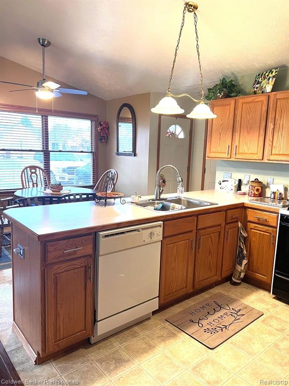 314 E Diamond Way, Morrice, MI 48857 — Photo 9