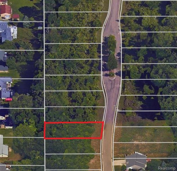 11426 Hidden Oaks Drive, Clio, MI 48420