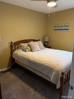 13608 Balsam Street, Johannesburg, MI 49751 — Photo 22
