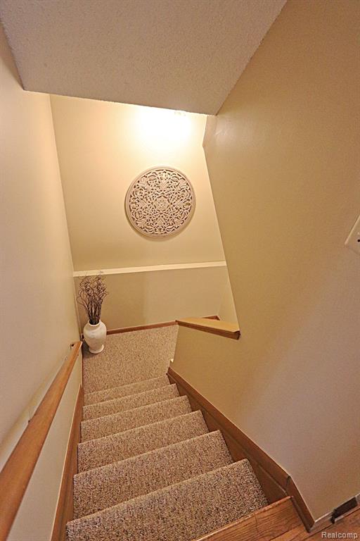 22249 RIVER PINES Drive, Farmington Hills, MI 48335 — Photo 19