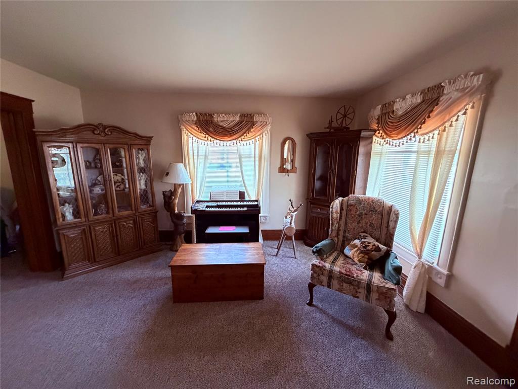 4219 Seeger Street, Cass City, MI 48726 — Photo 11