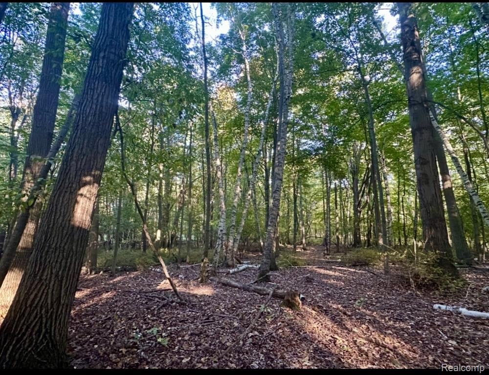 5239 Quain Road, Emmett, MI 48022 — Photo 52