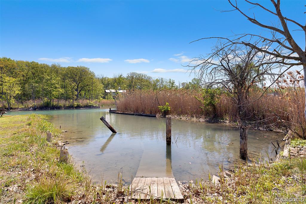 22827 Meridian Road, Grosse Ile, MI 48138 — Photo 19