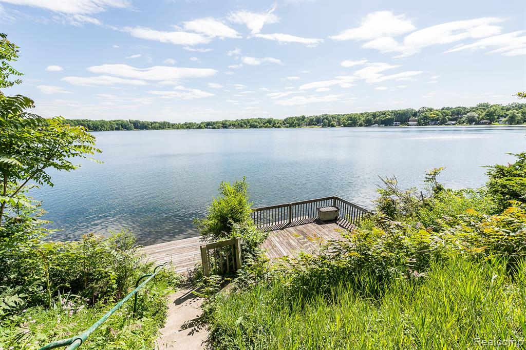 7636 THARP Drive, Whitmore Lake, MI 48189 — Photo 5