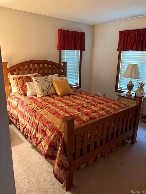 2843 North Branch Rd., North Branch, MI 48461 — Photo 19