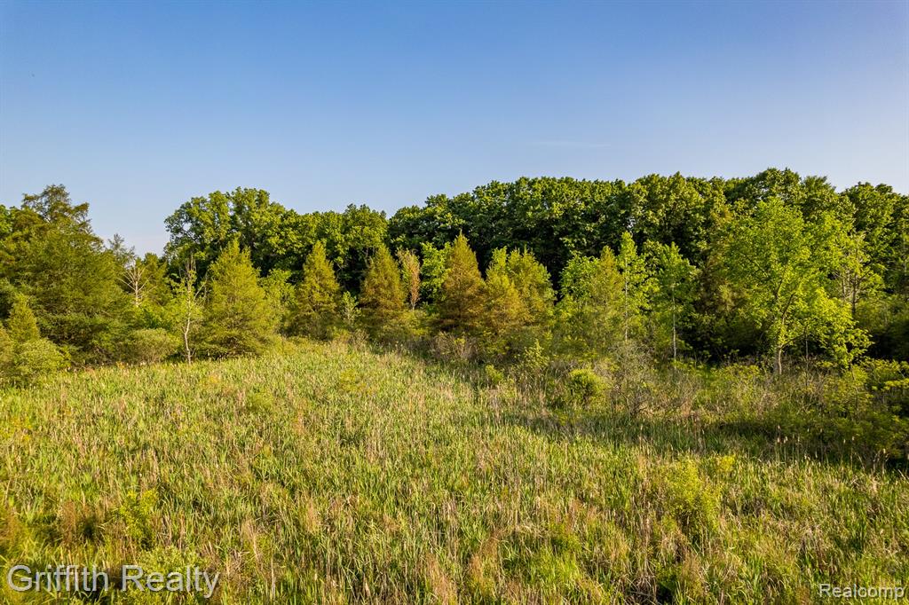 4433 Brighton Parcel B Road, Howell, MI 48843 — front exterior