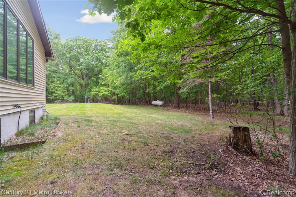 14210 W Burt Road W, Chesaning, MI 48616 — Photo 39