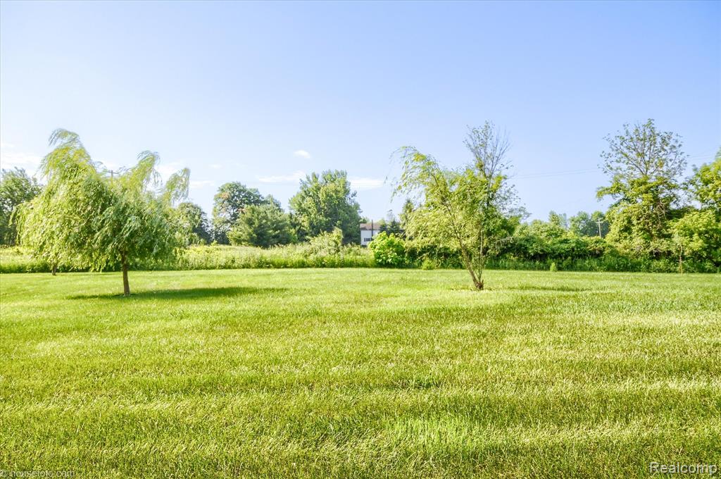 317 N Summers Road, Imlay City, MI 48444 — Photo 40