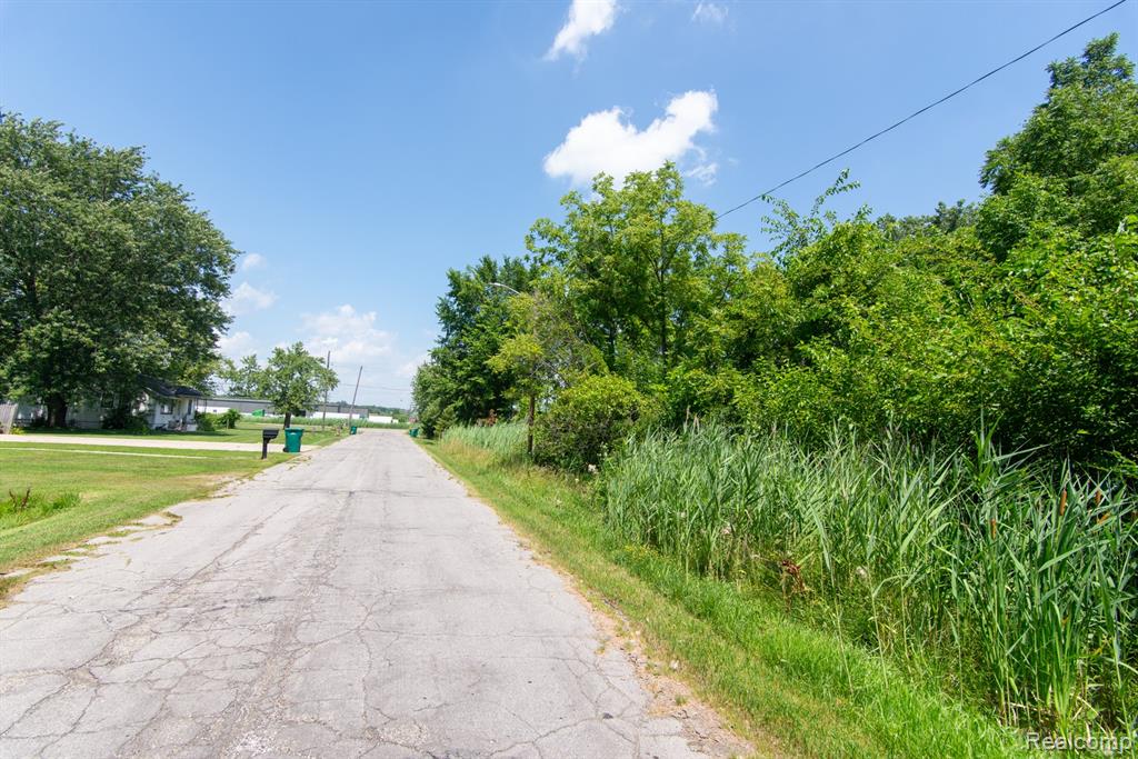 Lot 106 Hollywood, Romulus, MI 48174 — Photo 2