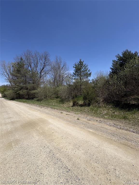 Parcel 5 Fisher Road, Howell, MI 48855 — Photo 7