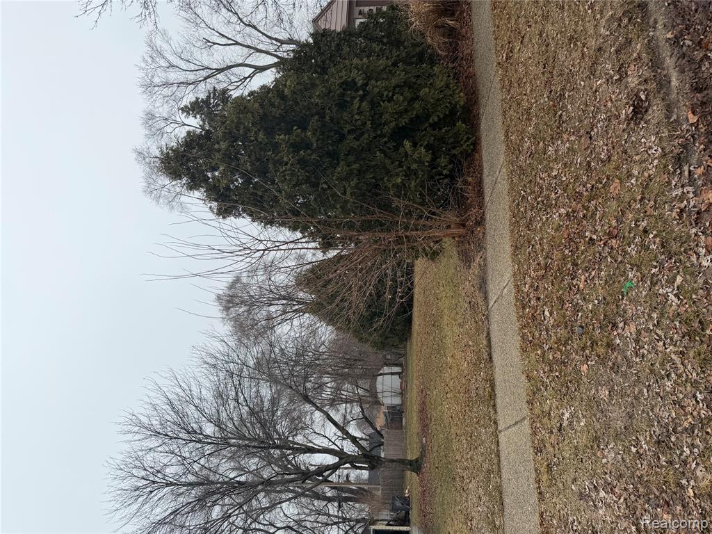 Lot #34 E Madge, Hazel Park, MI 48030 — Photo 4