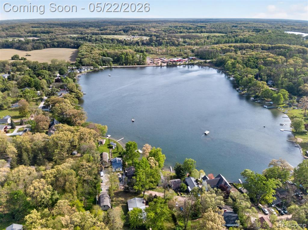 6548 Buckshore Drive, Whitmore Lake, MI 48189 — Photo 43